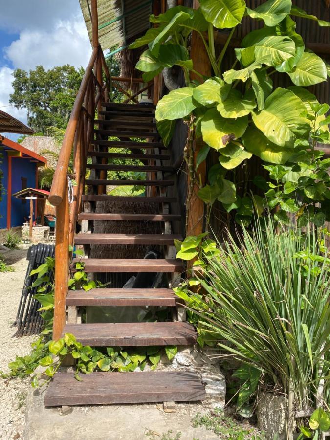 דירות Malinche Cafe In Coba Tulum מראה חיצוני תמונה
