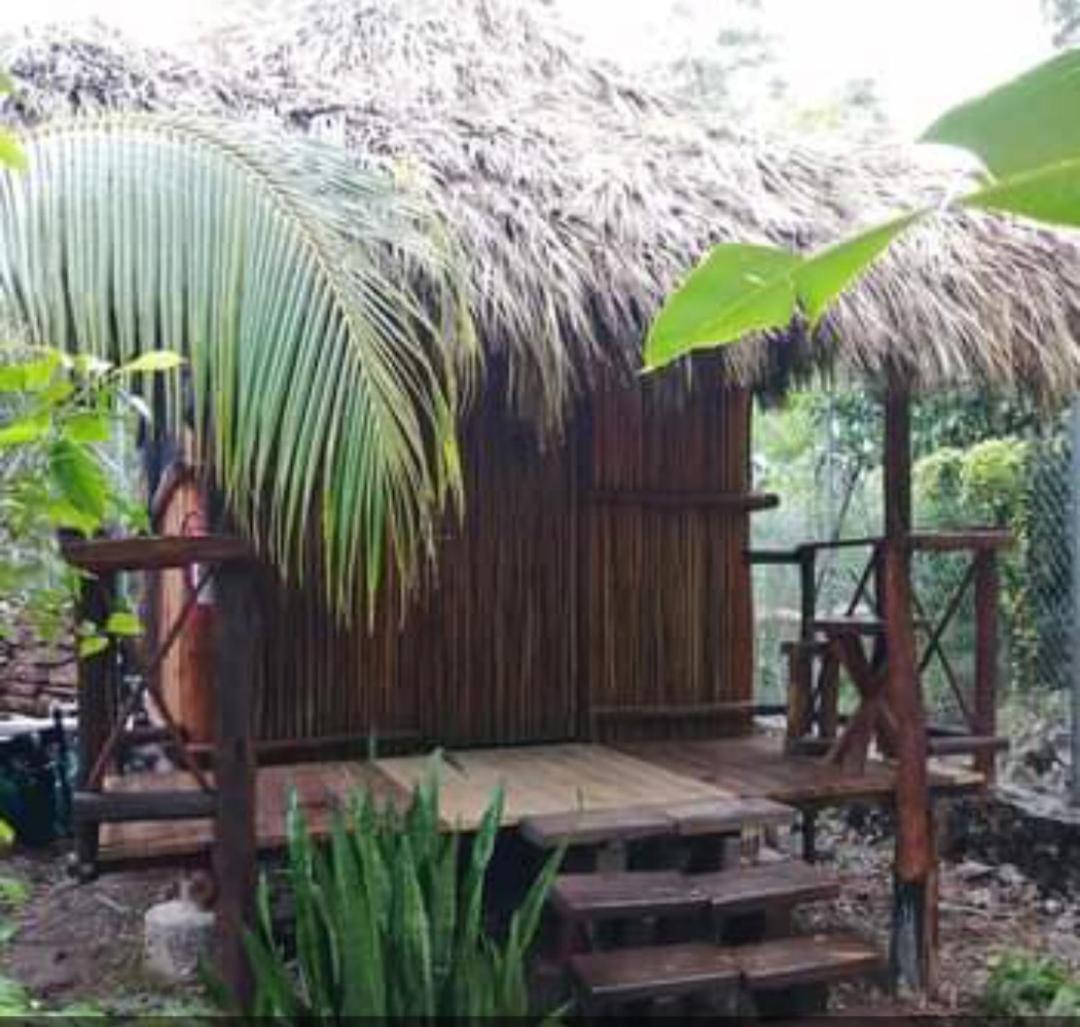 דירות Malinche Cafe In Coba Tulum חדר תמונה